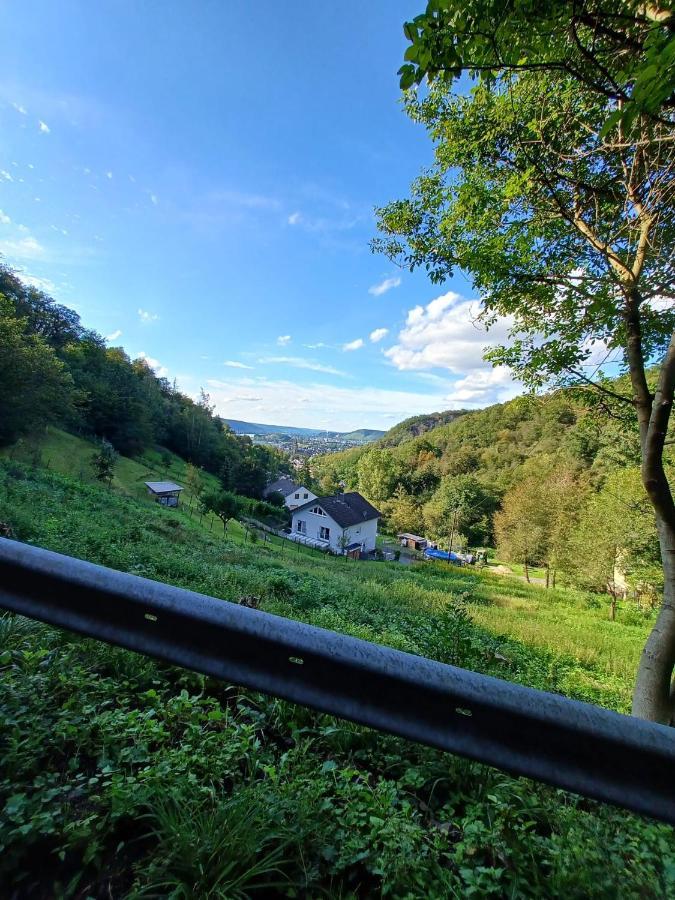 Ferienwohnung Neli Am Rhein Rheinbrohl Dış mekan fotoğraf