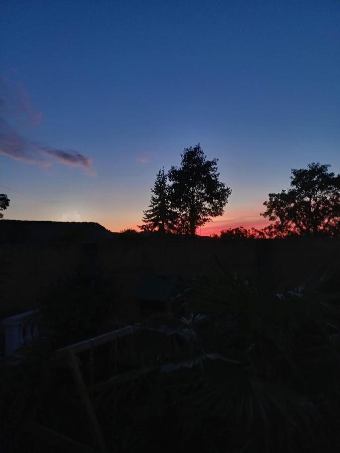 Ferienwohnung Neli Am Rhein Rheinbrohl Dış mekan fotoğraf