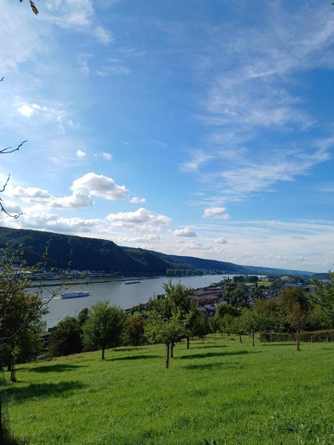 Ferienwohnung Neli Am Rhein Rheinbrohl Dış mekan fotoğraf