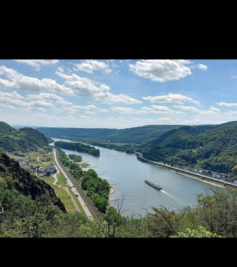 Ferienwohnung Neli Am Rhein Rheinbrohl Dış mekan fotoğraf