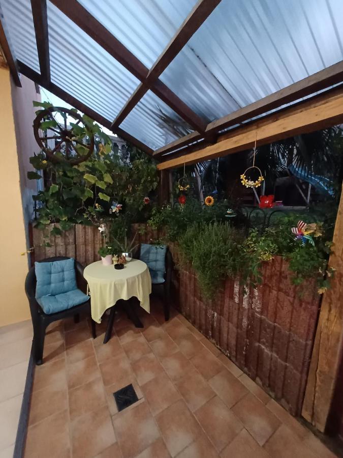 Ferienwohnung Neli Am Rhein Rheinbrohl Dış mekan fotoğraf