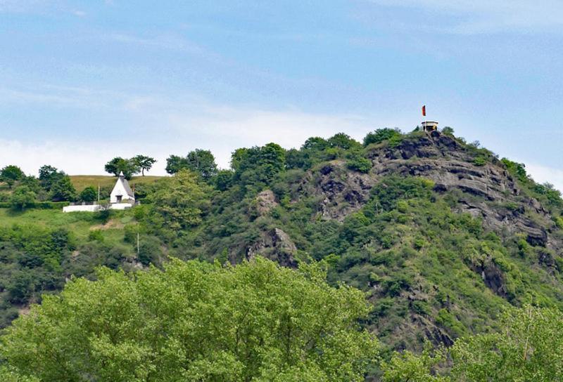 Ferienwohnung Neli Am Rhein Rheinbrohl Dış mekan fotoğraf