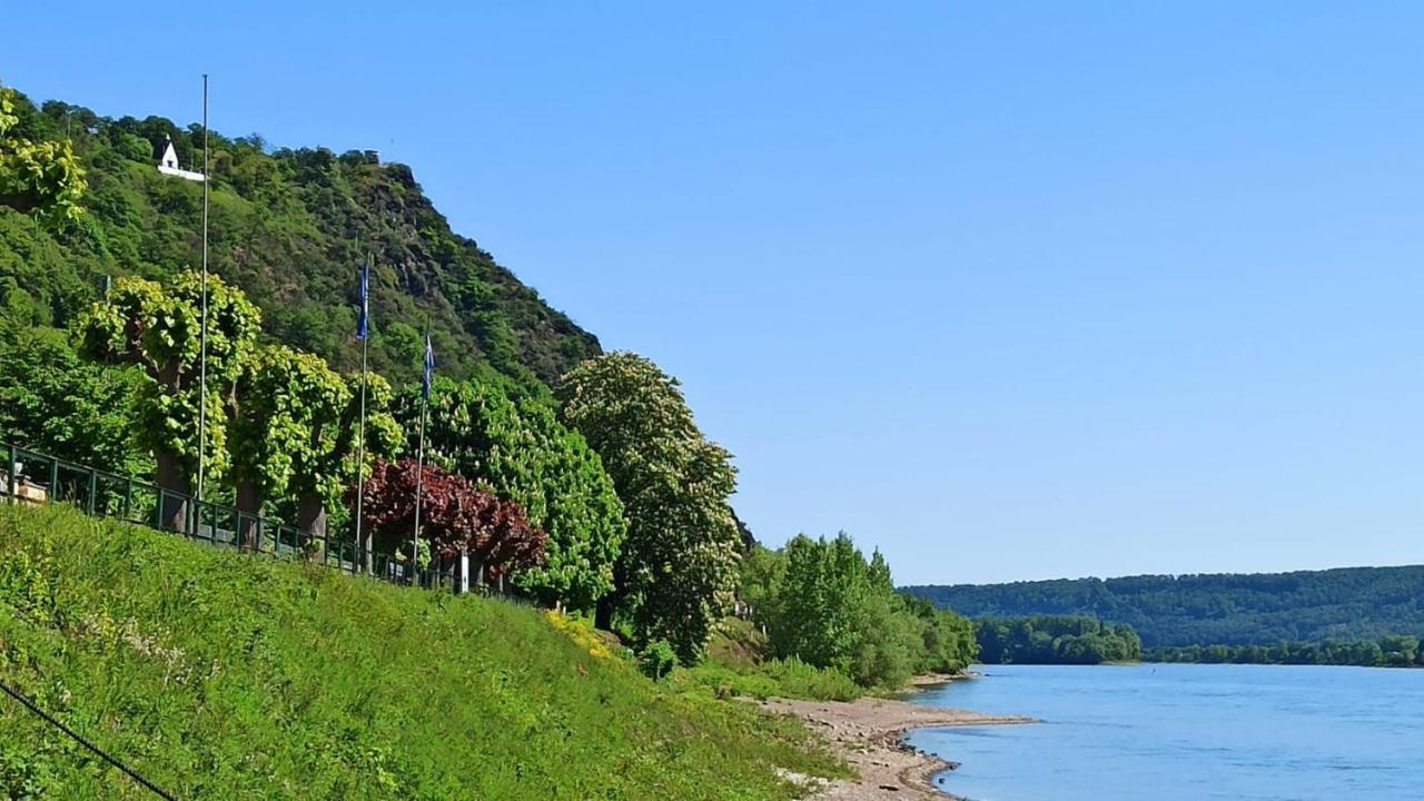 Ferienwohnung Neli Am Rhein Rheinbrohl Dış mekan fotoğraf